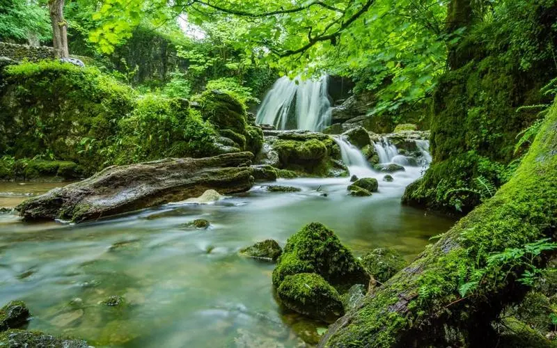 高效独特智能